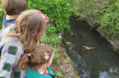 people looking into a river