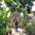 someone walking through a garden