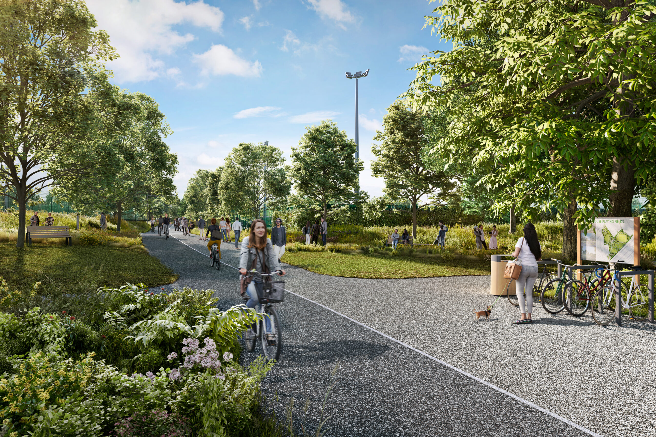 P_BXS_INF_PRJ_CPF_N14